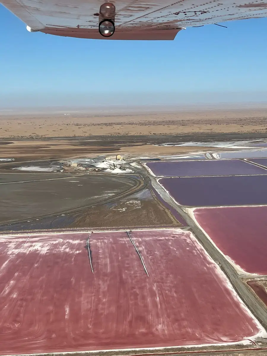 Our UK guests flew from Windhoek to Sossusvlei and then Swakopmund, where they admired seal colonies from the air, explored salt pans, spotted flamingos, and enjoyed scenic pier walks and great restaurants